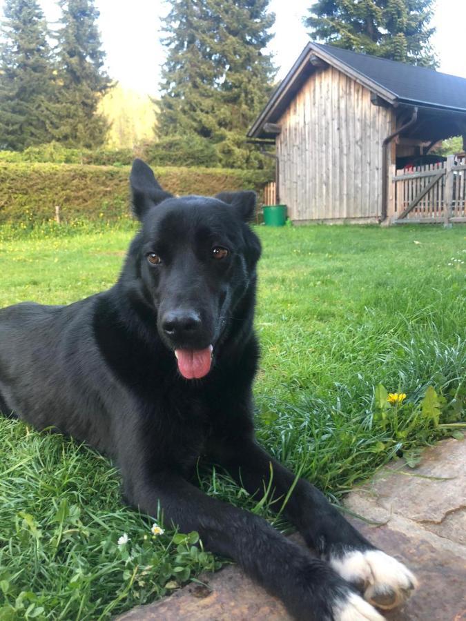 Haus Moser Altaussee Bagian luar foto