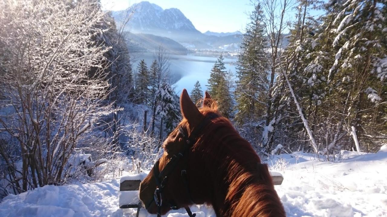 Haus Moser Altaussee Bagian luar foto